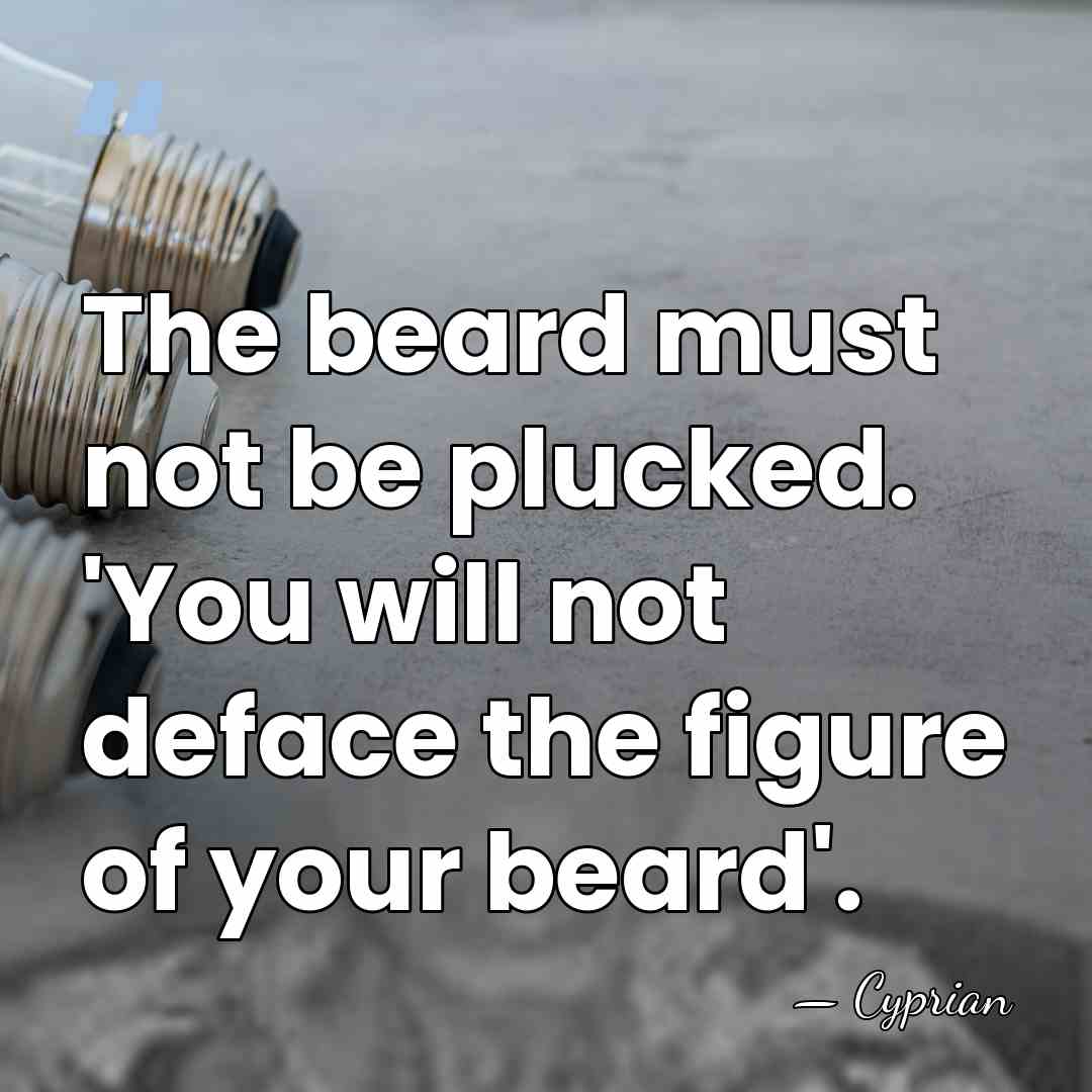 The beard must not be plucked. 'You will not deface the figure&hellip; - Cyprian