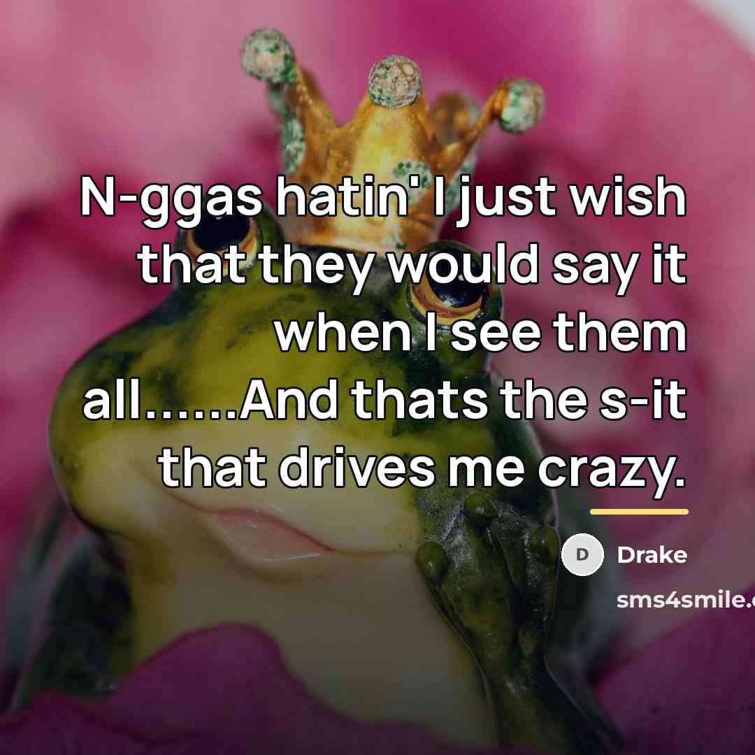 “N-ggas hatin' I just wish that they would say it…” quote by Drake