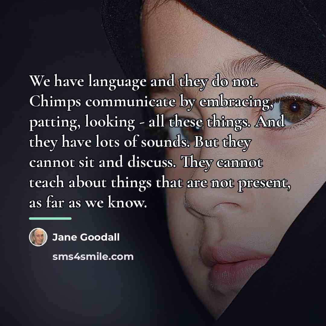 “We have language and they do not. Chimps communicate by…” quote by Jane Goodall