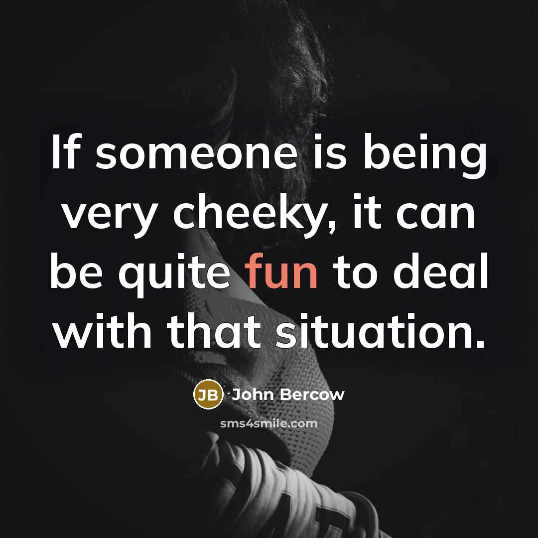 “If someone is being very cheeky, it can be quite…” quote by John Bercow
