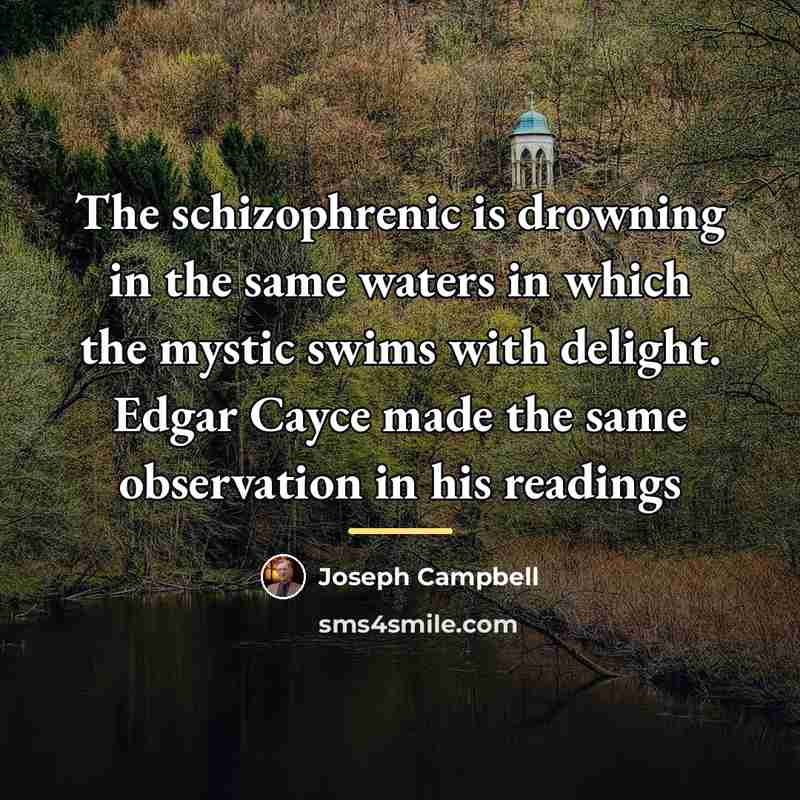 “The schizophrenic is drowning in the same waters in which…” quote by Joseph Campbell