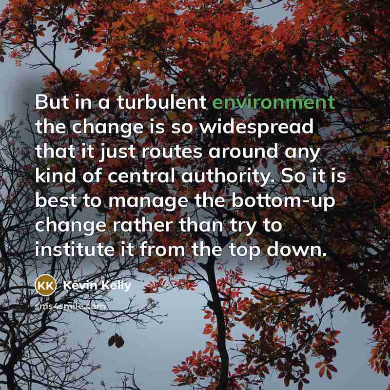 “But in a turbulent environment the change is so widespread…” quote by Kevin Kelly