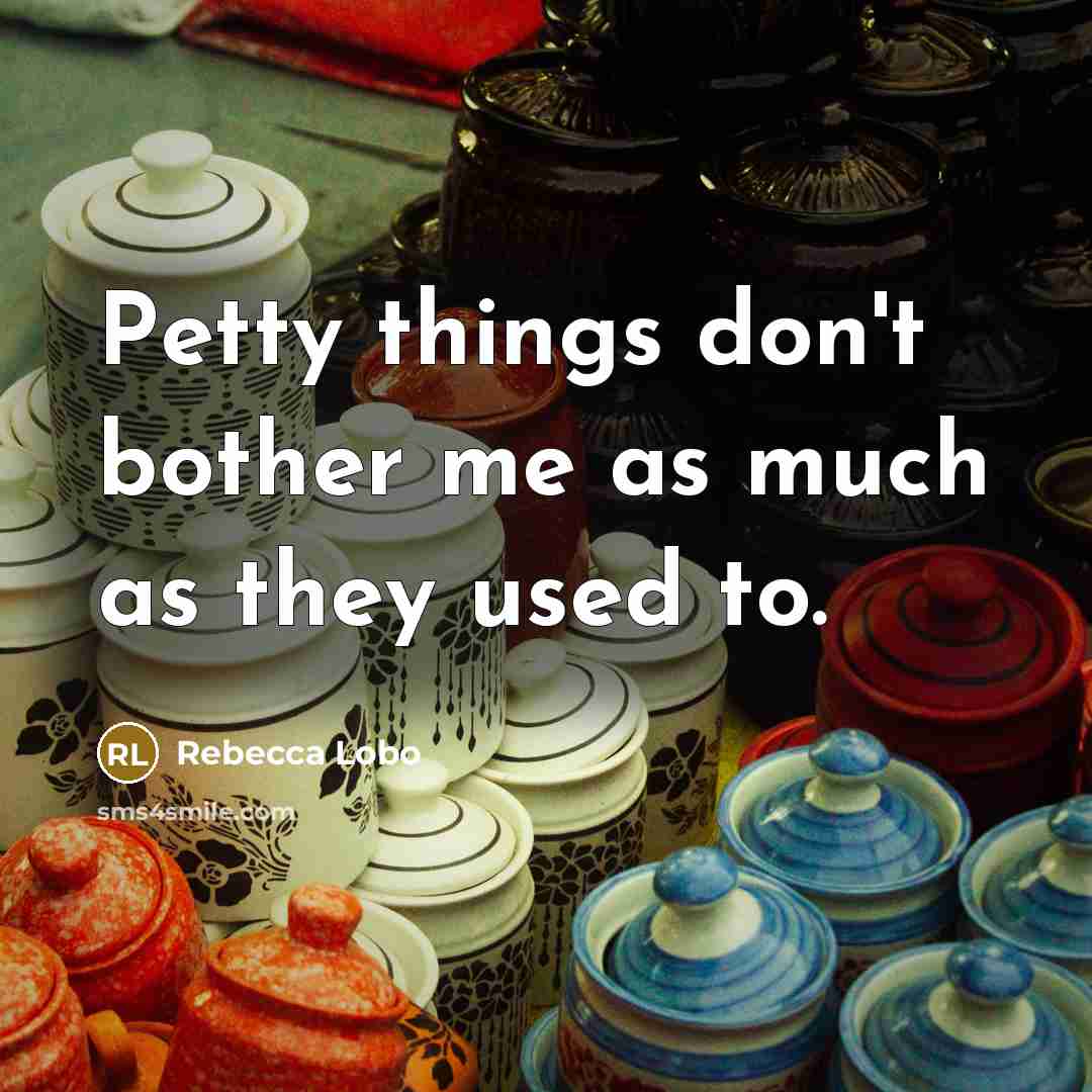 “Petty things don't bother me as much as they used…” quote by Rebecca Lobo