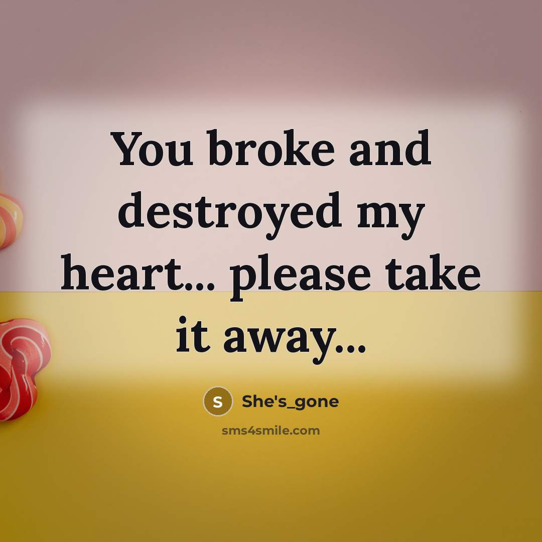 “You broke and destroyed my heart... please take it away...…” quote by She's_gone