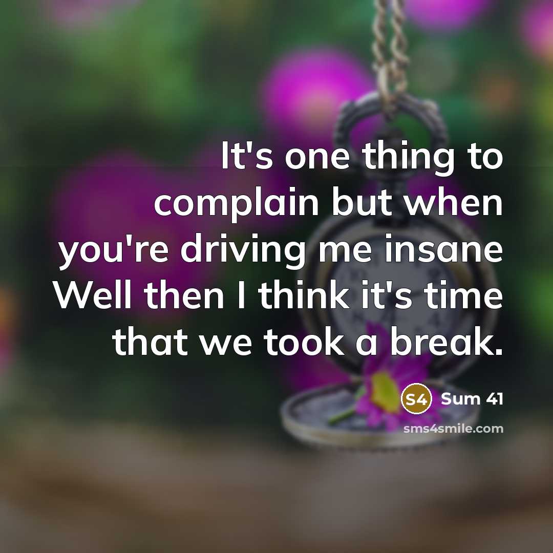 “It's one thing to complain but when you're driving me insane Well then I think it's time that we took a break.” quote by Sum 41