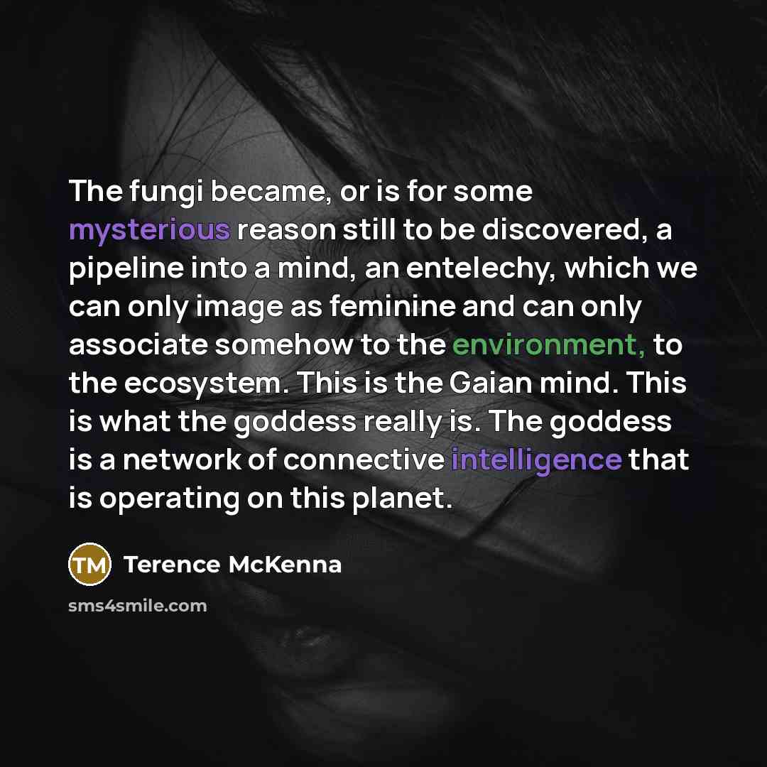 “The fungi became, or is for some mysterious reason still…” quote by Terence McKenna