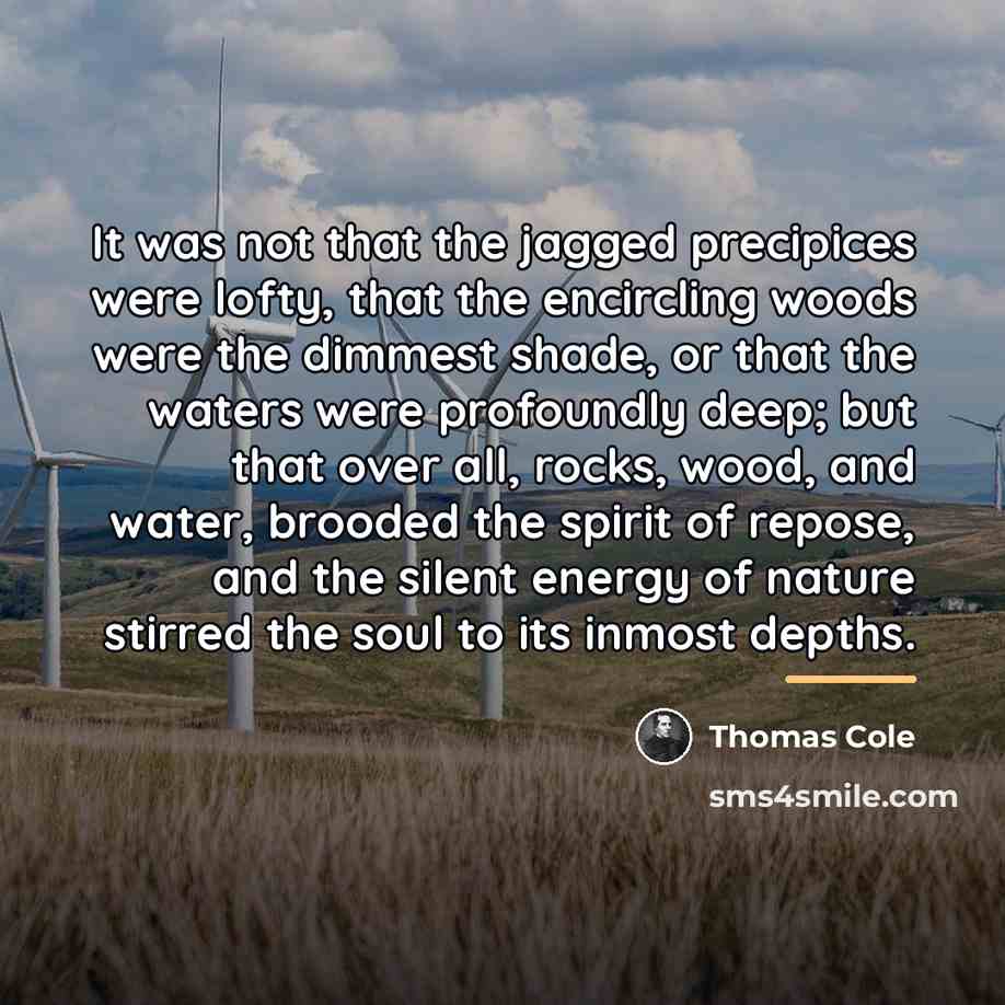 “It was not that the jagged precipices were lofty, that…” quote by Thomas Cole