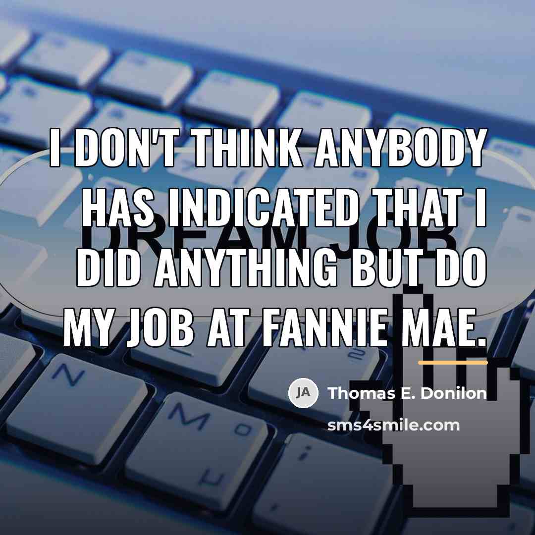 “I don't think anybody has indicated that I did anything…” quote by Thomas E. Donilon