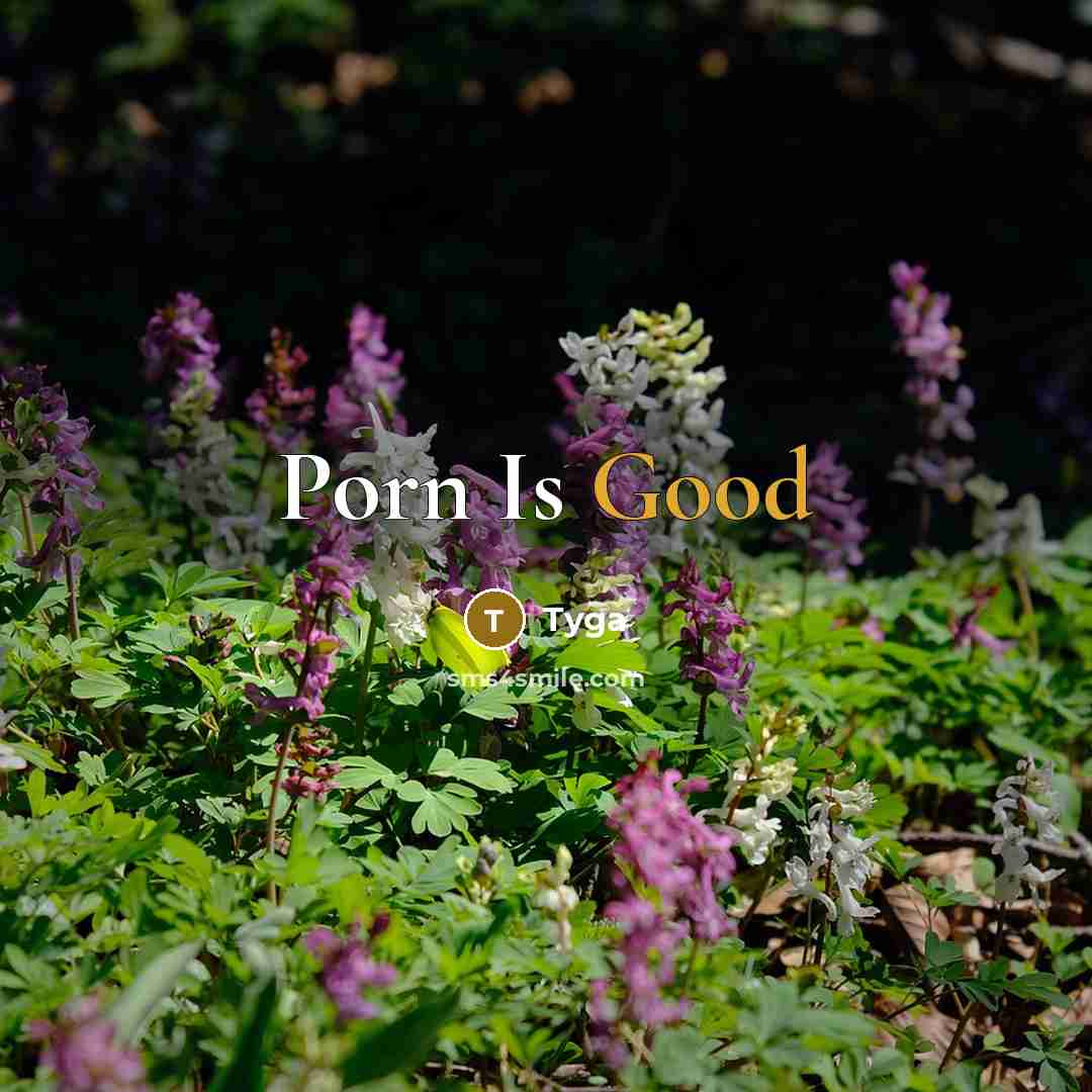 “Porn Is Good” quote by Tyga
