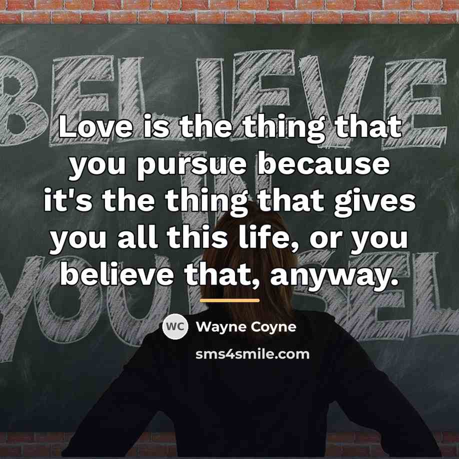 “Love is the thing that you pursue because it's the…” quote by Wayne Coyne