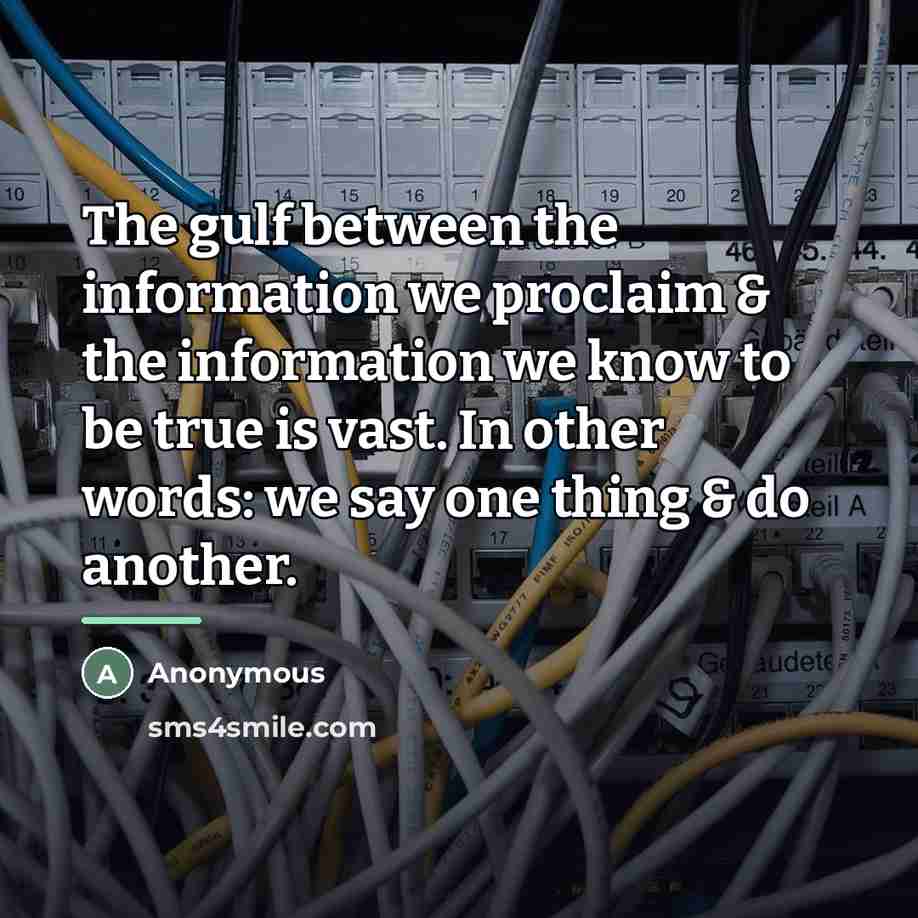 “The gulf between the information we proclaim & the information…” quote by Anonymous
