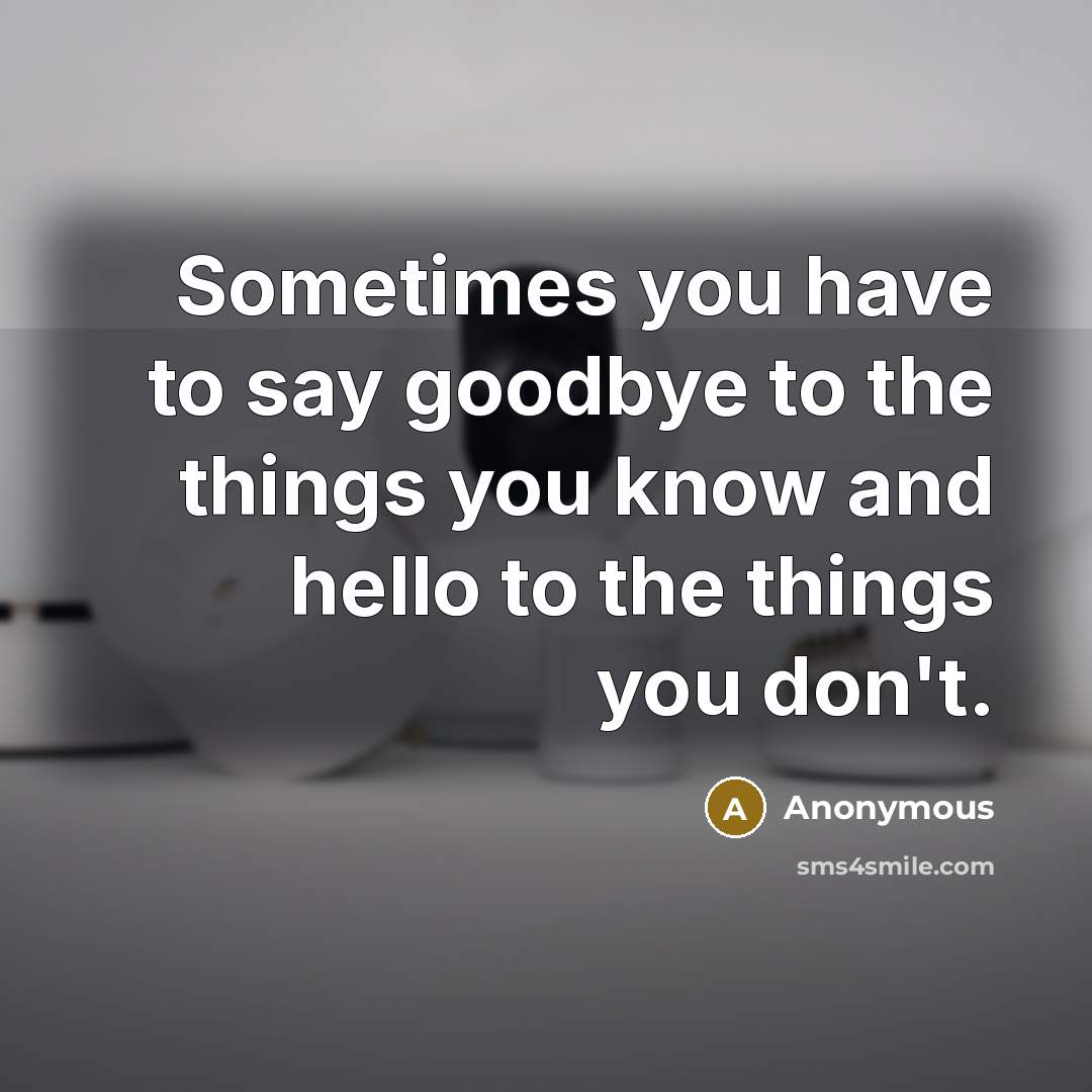 “Sometimes you have to say goodbye to the things you…” quote by Anonymous