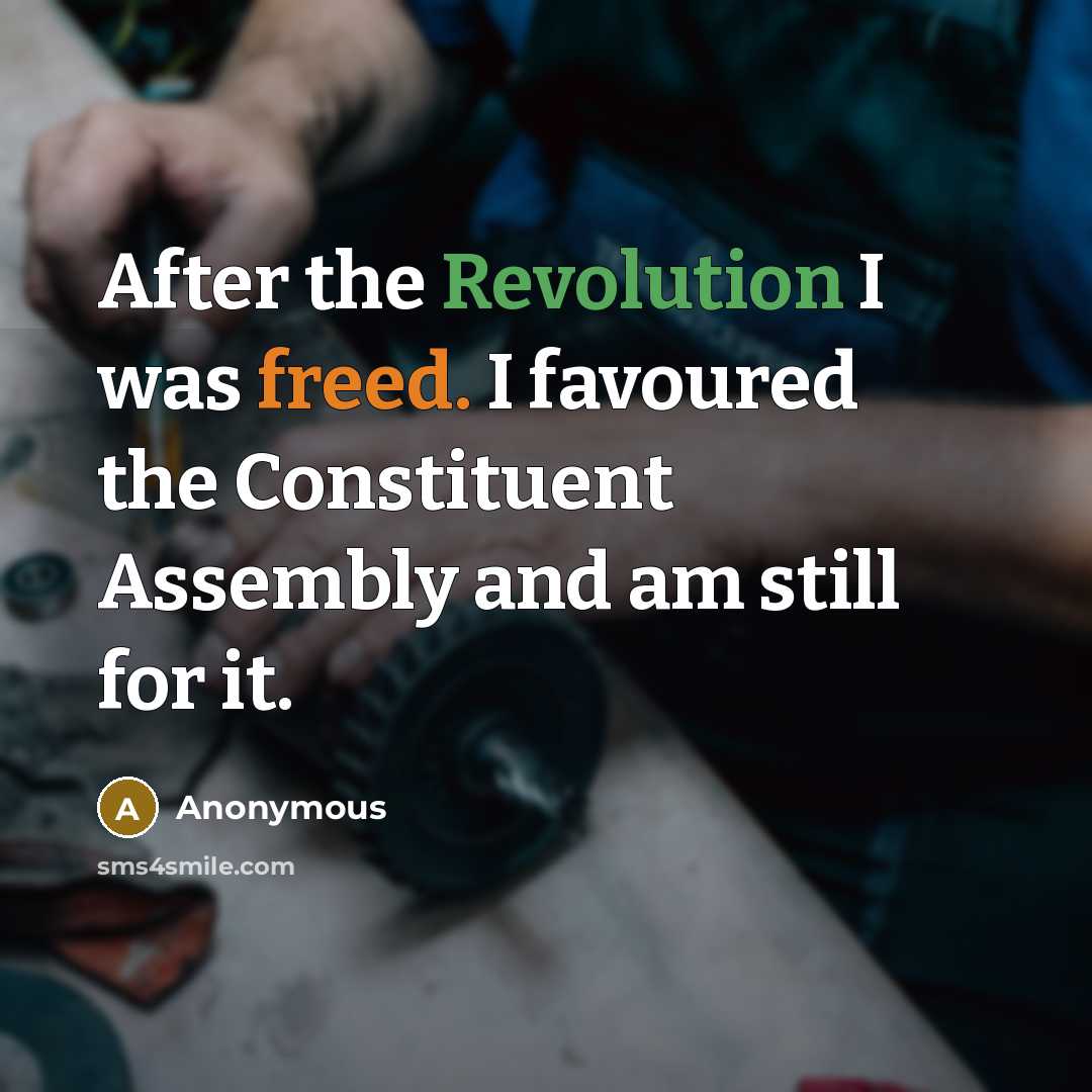“After the Revolution I was freed. I favoured the Constituent Assembly and am still for it.” quote by Anonymous