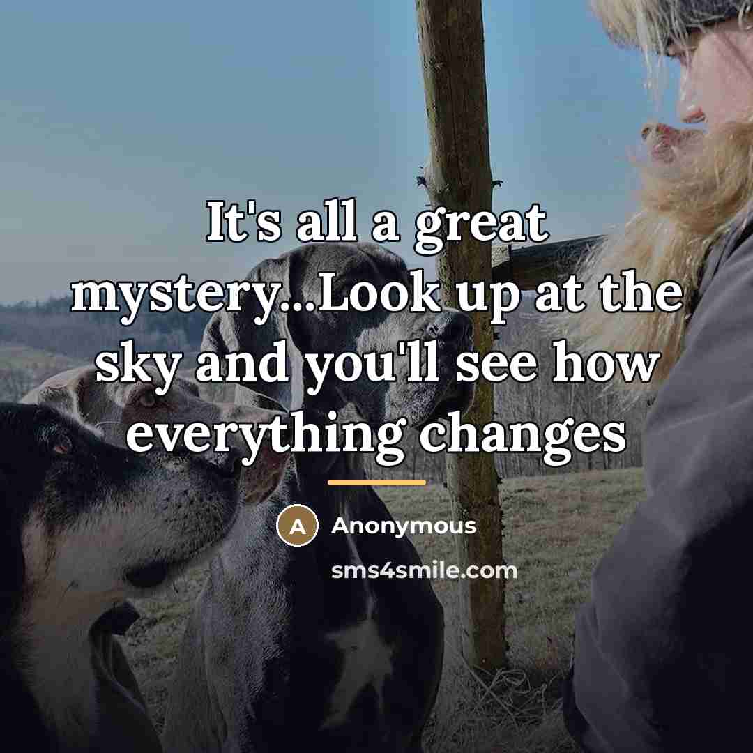 “It's all a great mystery...Look up at the sky and…” quote by Anonymous