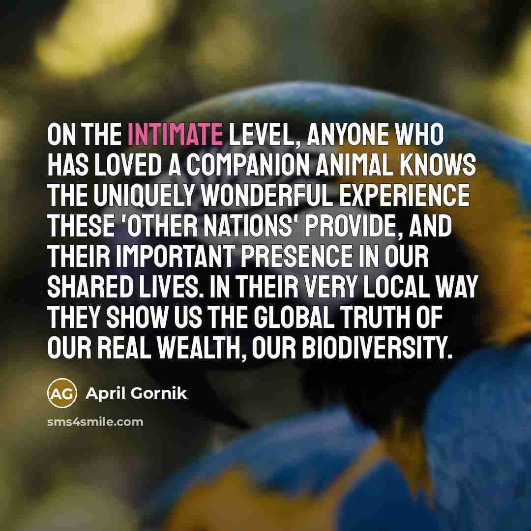 “On the intimate level, anyone who has loved a companion…” quote by April Gornik