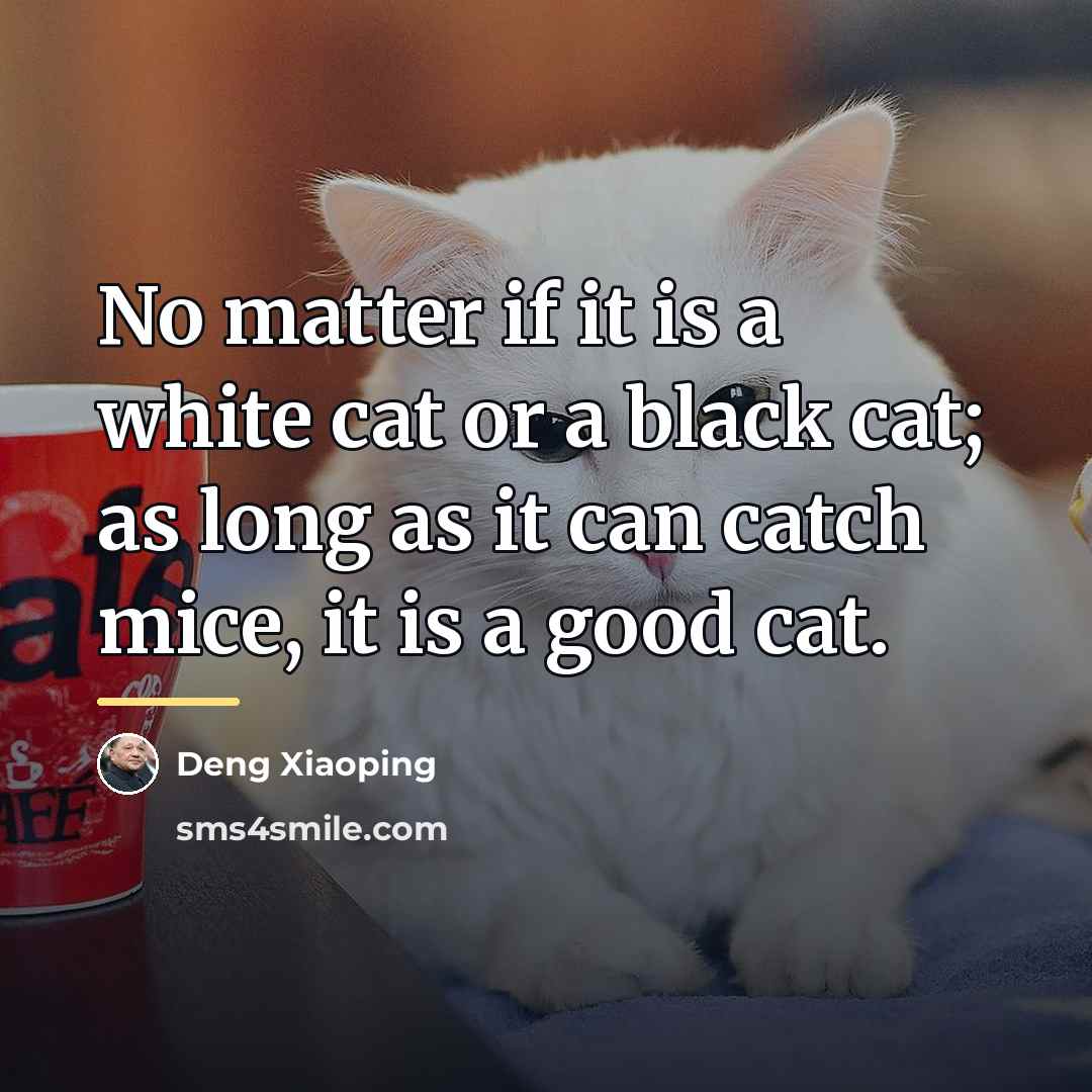 “No matter if it is a white cat or a…” quote by Deng Xiaoping