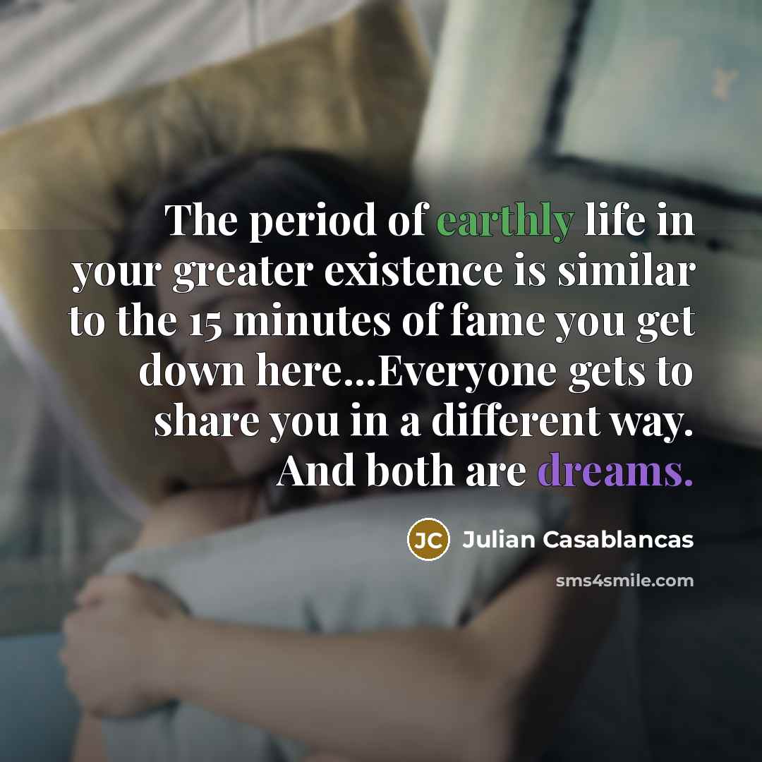 “The period of earthly life in your greater existence is…” quote by Julian Casablancas