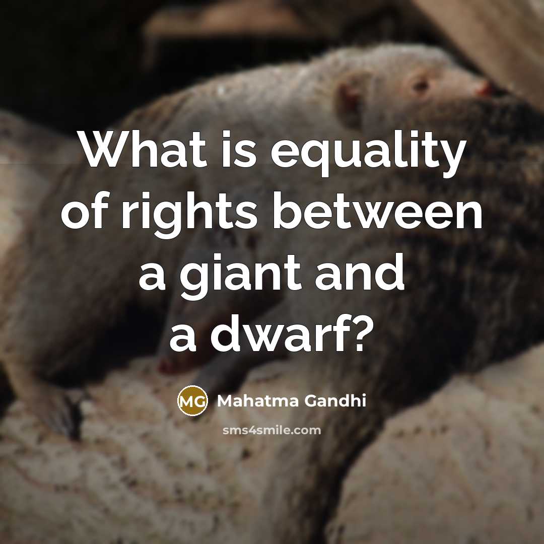 “What is equality of rights between a giant and a dwarf?” quote by Mahatma Gandhi