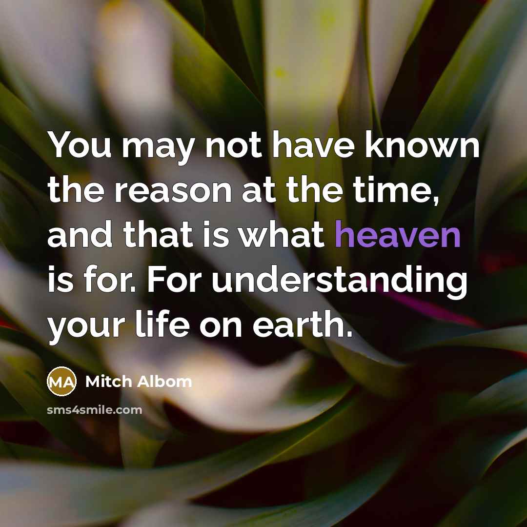 “You may not have known the reason at the time,…” quote by Mitch Albom