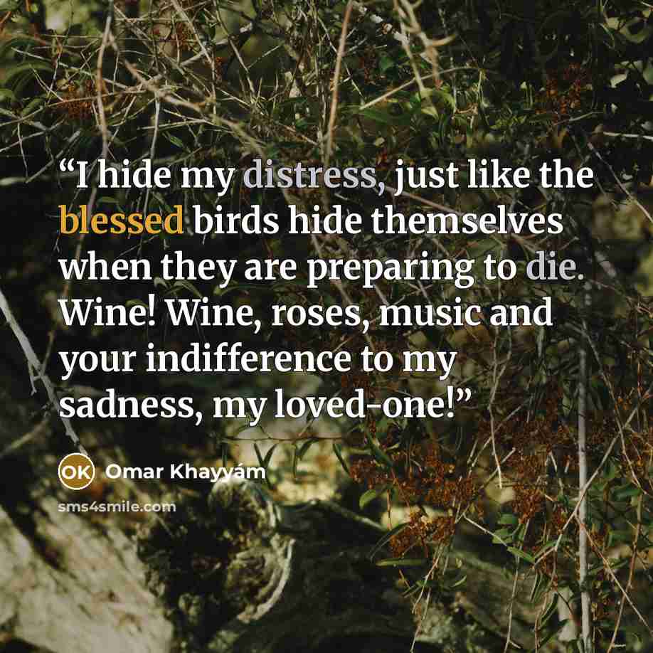 “I hide my distress, just like the blessed birds hide themselves when they are preparing to die. Wine! Wine, roses, music and your indifference to my sadness, my loved-one!” quote by Omar Khayyám
