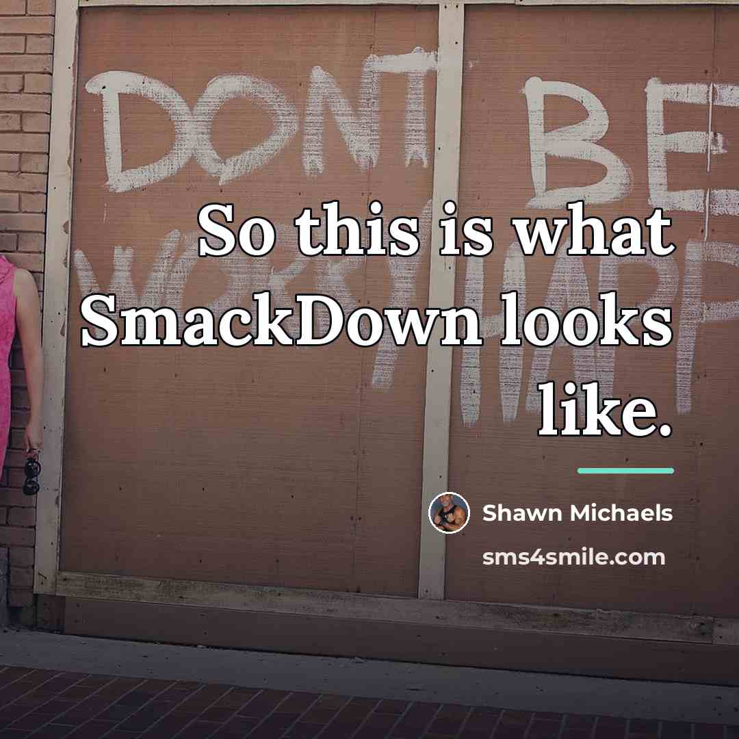 “So this is what SmackDown looks like.…” quote by Shawn Michaels