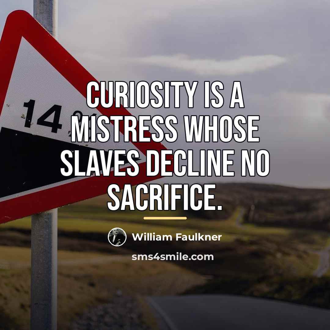 “Curiosity is a mistress whose slaves decline no sacrifice.…” quote by William Faulkner