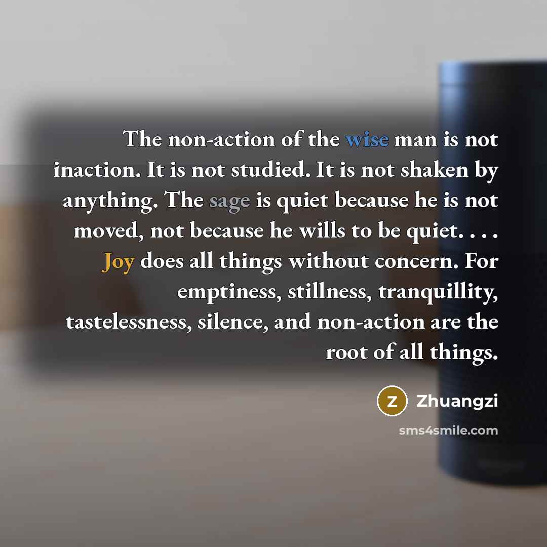 “The non-action of the wise man is not inaction. It…” quote by Zhuangzi