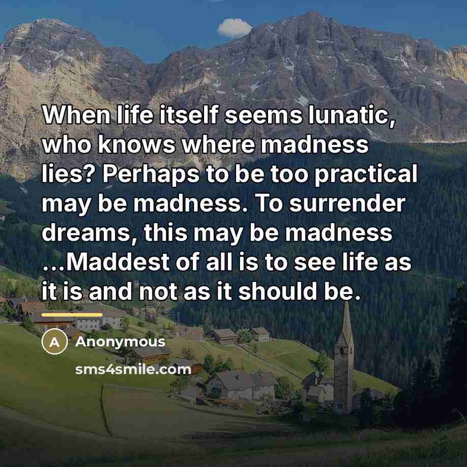 “When life itself seems lunatic, who knows where madness lies?…” quote by Anonymous
