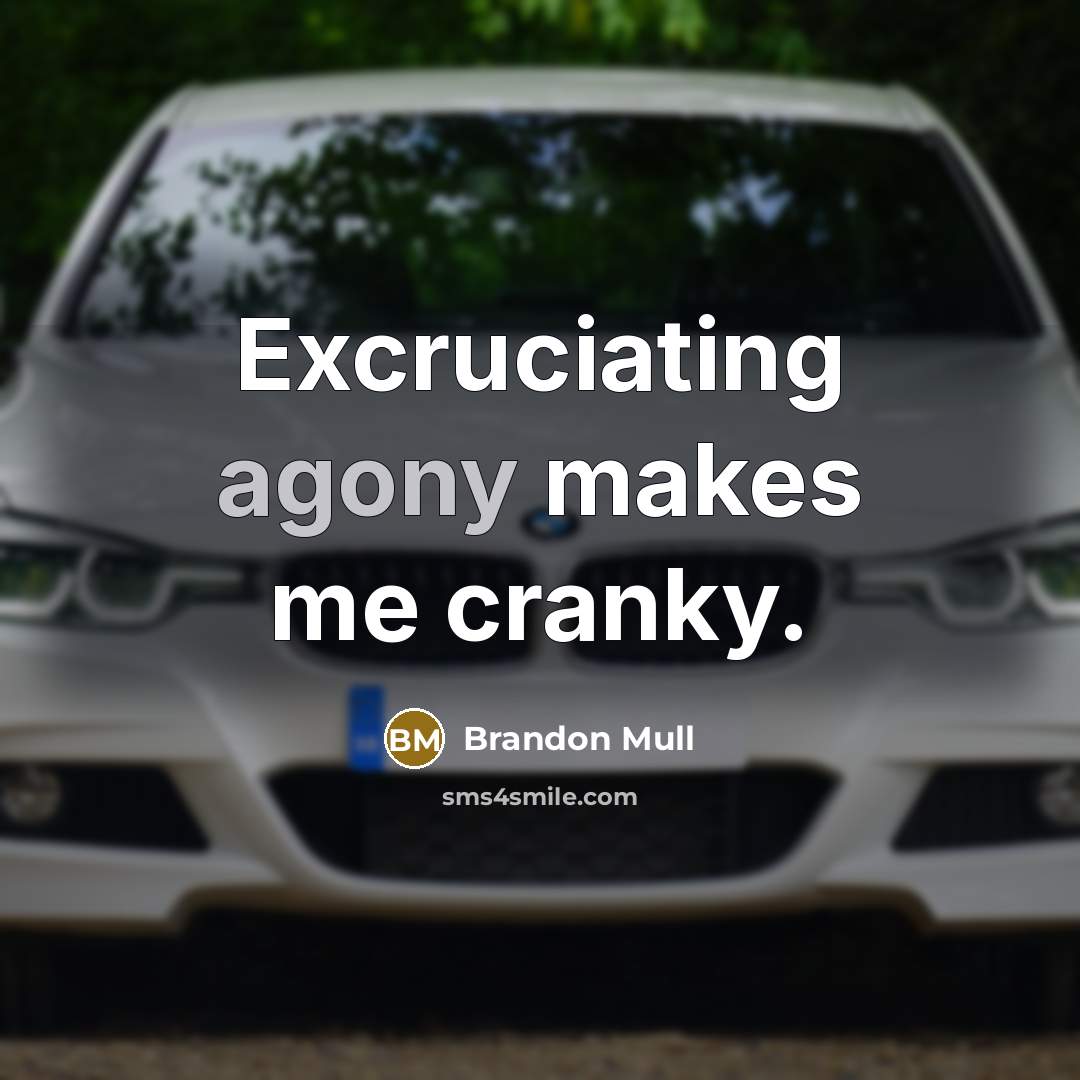 “Excruciating agony makes me cranky.…” quote by Brandon Mull