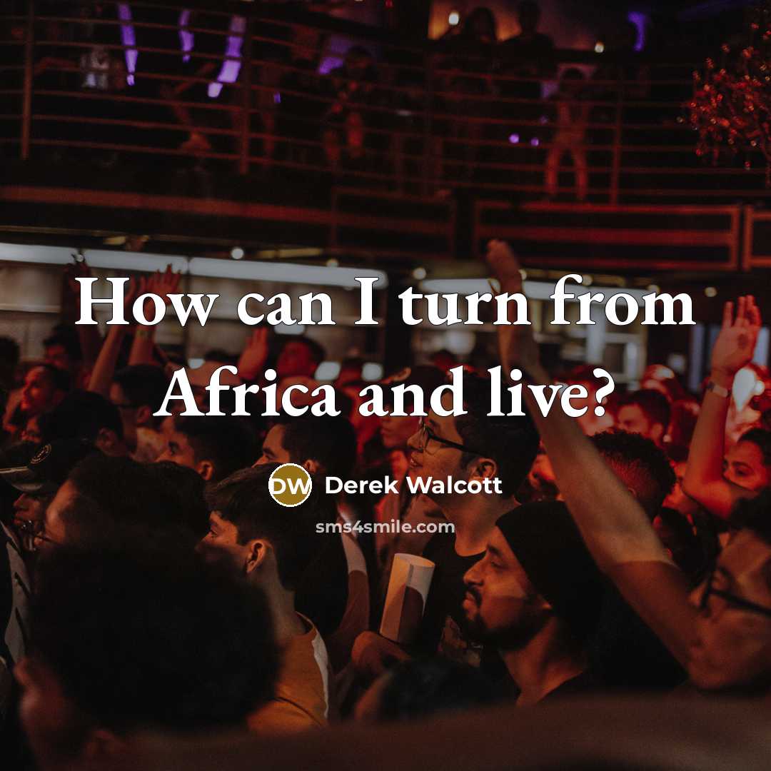 “How can I turn from Africa and live?” quote by Derek Walcott