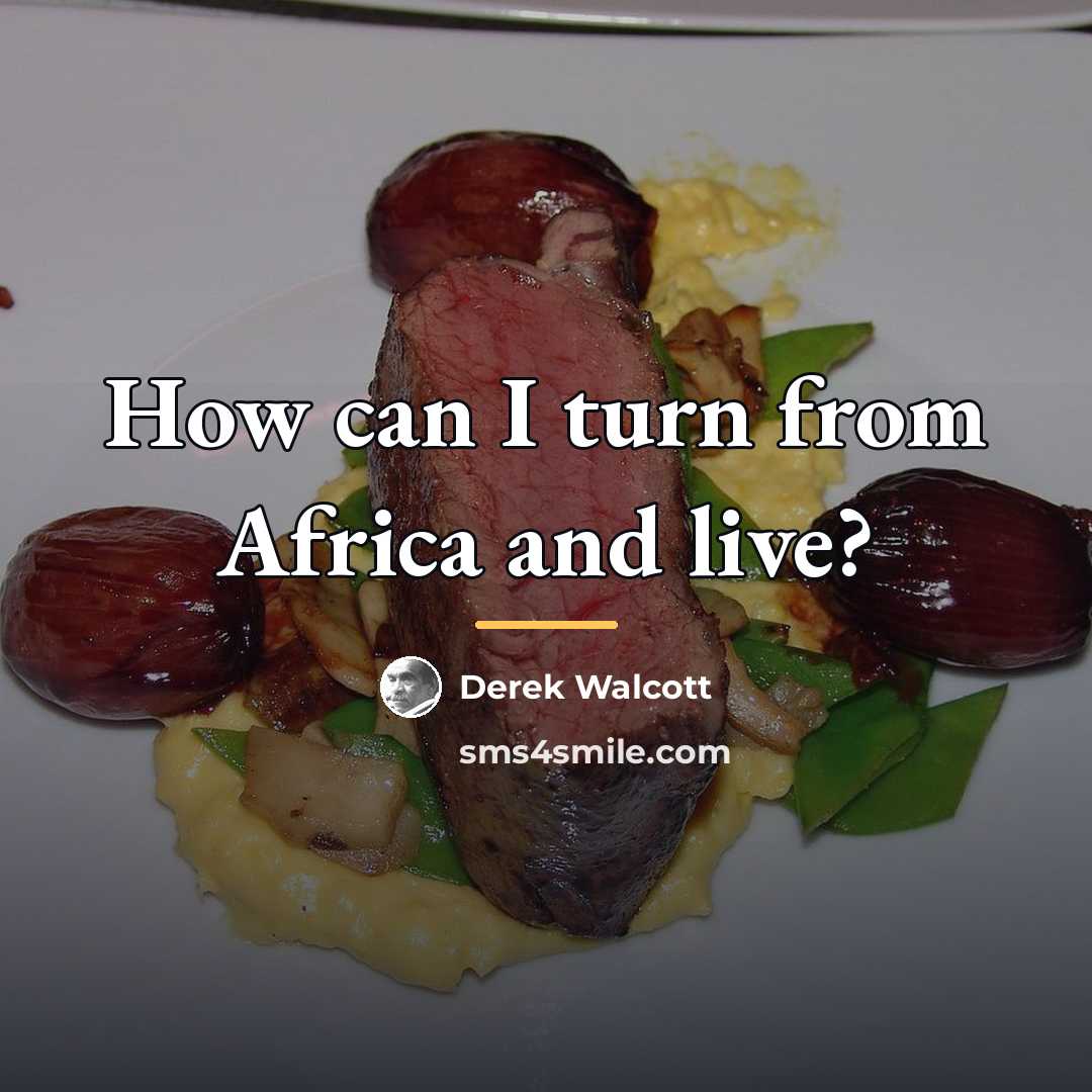 “How can I turn from Africa and live?…” quote by Derek Walcott