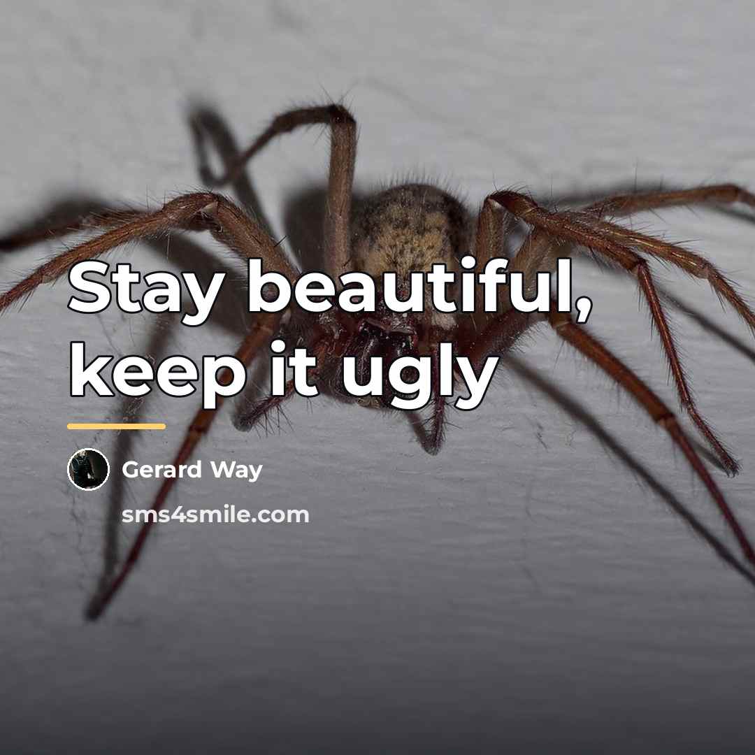 “Stay beautiful, keep it ugly…” quote by Gerard Way