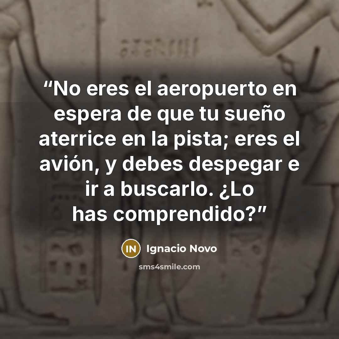“No eres el aeropuerto en espera de que tu sueño aterrice en la pista; eres el avión, y debes despegar e ir a buscarlo. ¿Lo has comprendido?” quote by Ignacio Novo