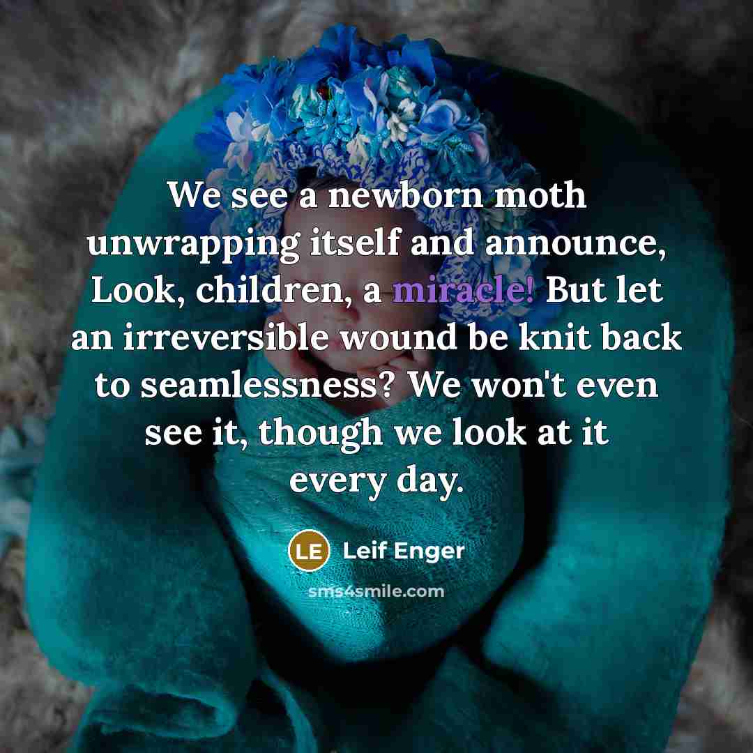 “We see a newborn moth unwrapping itself and announce, Look,…” quote by Leif Enger