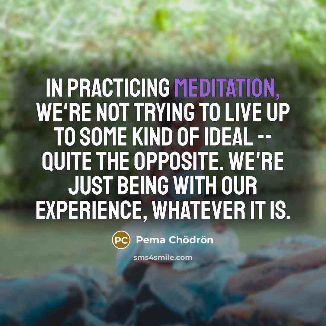 “In practicing meditation, we're not trying to live up to some kind of ideal -- quite the opposite. We're just being with our experience, whatever it is.” quote by Pema Chodron