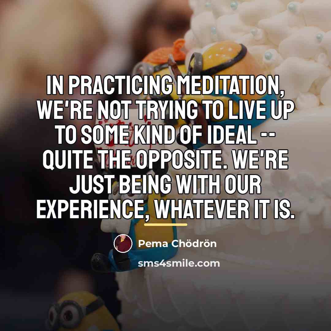 “In practicing meditation, we're not trying to live up to…” quote by Pema Chodron