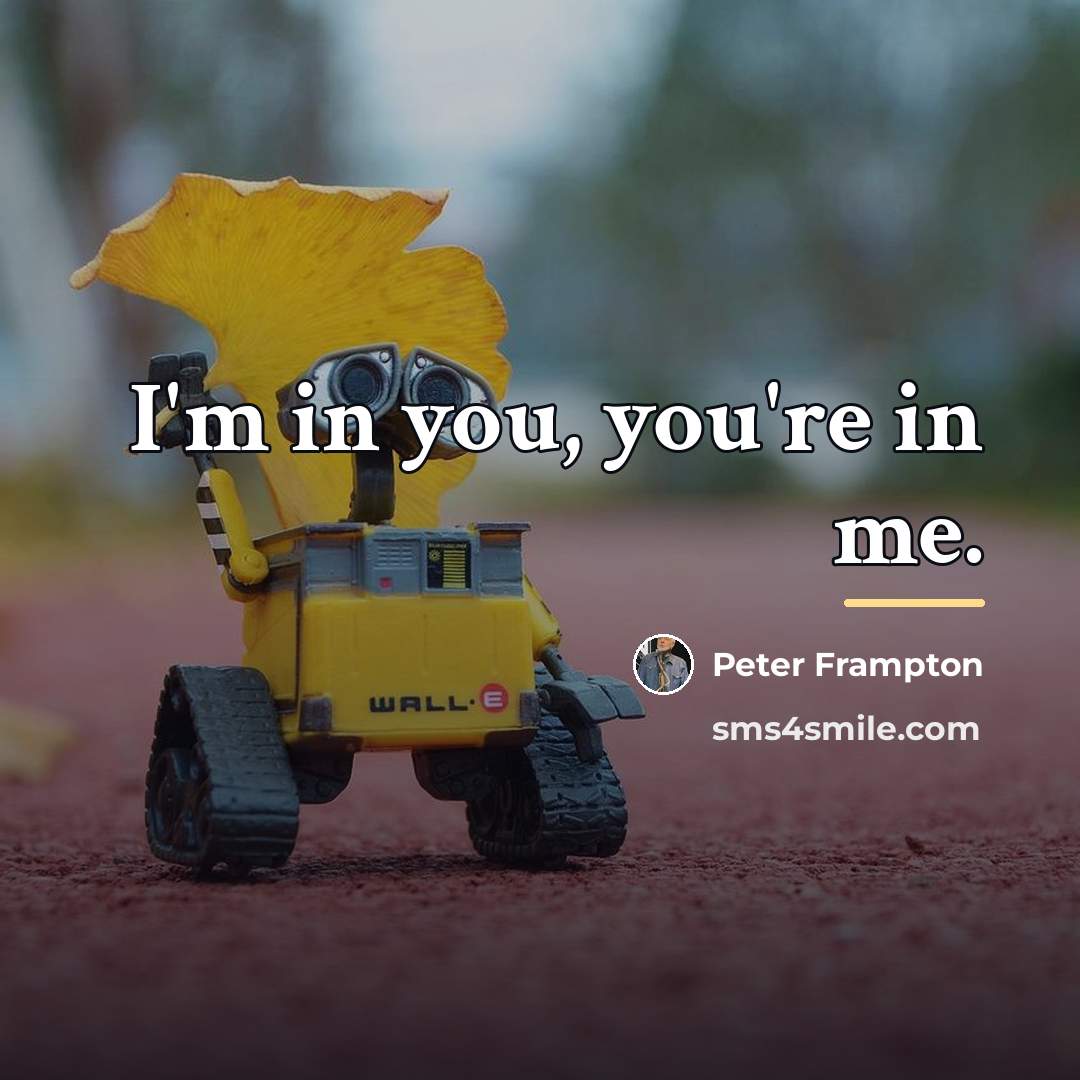 “I'm in you, you're in me.…” quote by Peter Frampton