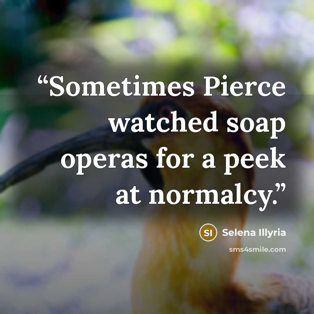 “Sometimes Pierce watched soap operas for a peek at normalcy.” quote by Selena Illyria