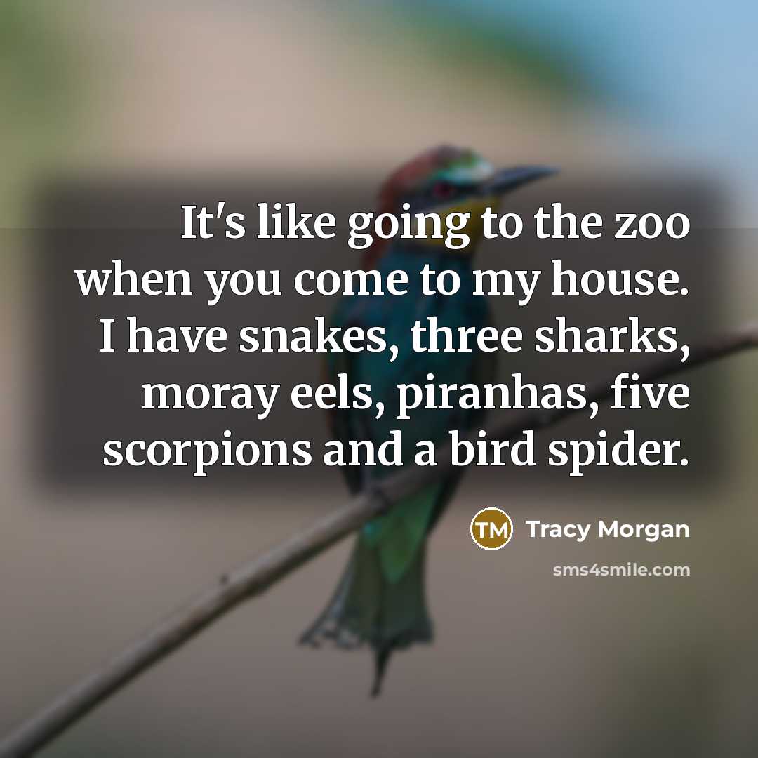 “It's like going to the zoo when you come to…” quote by Tracy Morgan