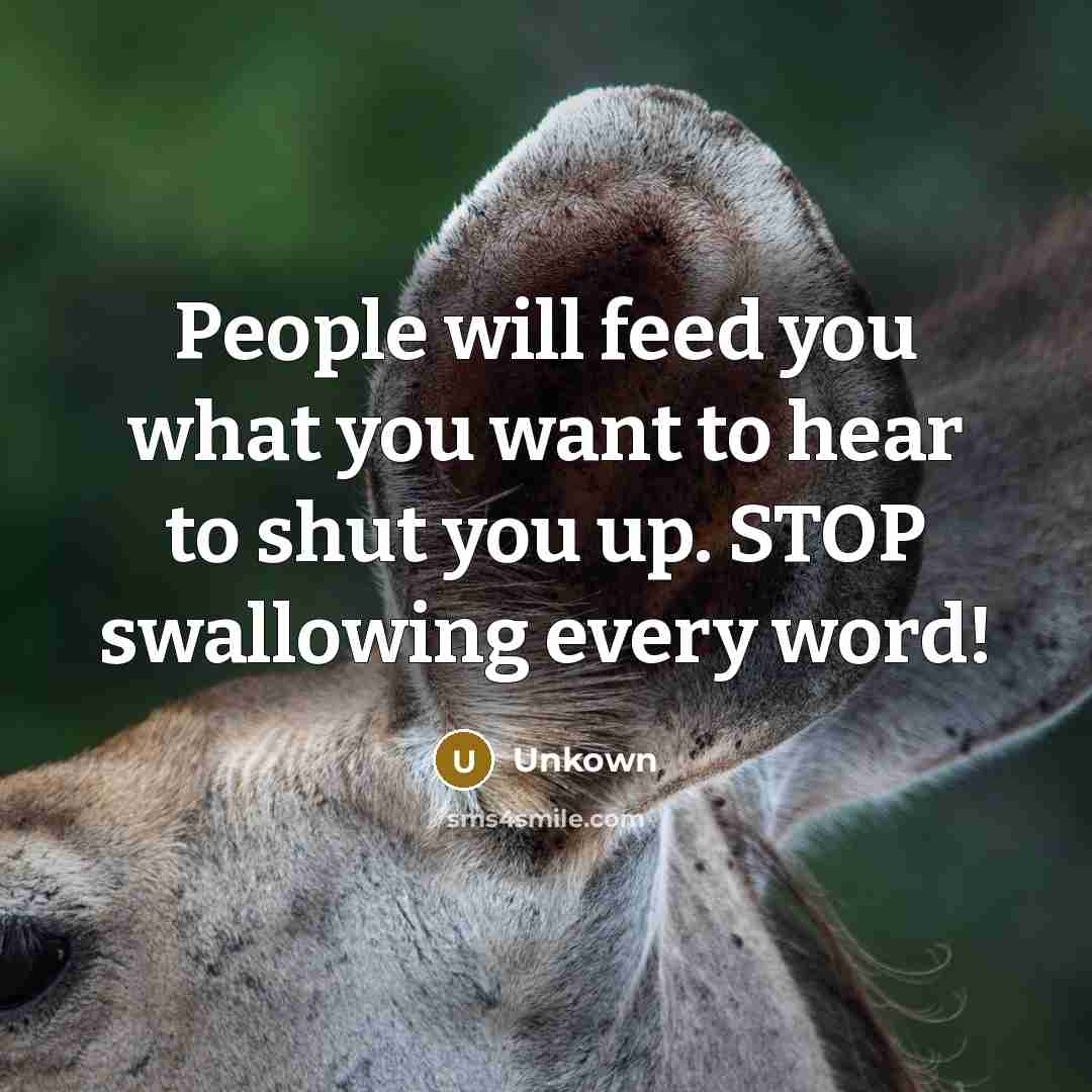 “People will feed you what you want to hear to…” quote by Unkown