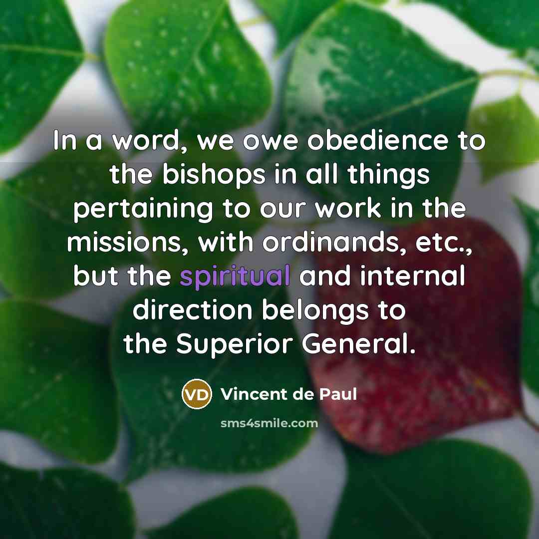 “In a word, we owe obedience to the bishops in…” quote by Vincent de Paul