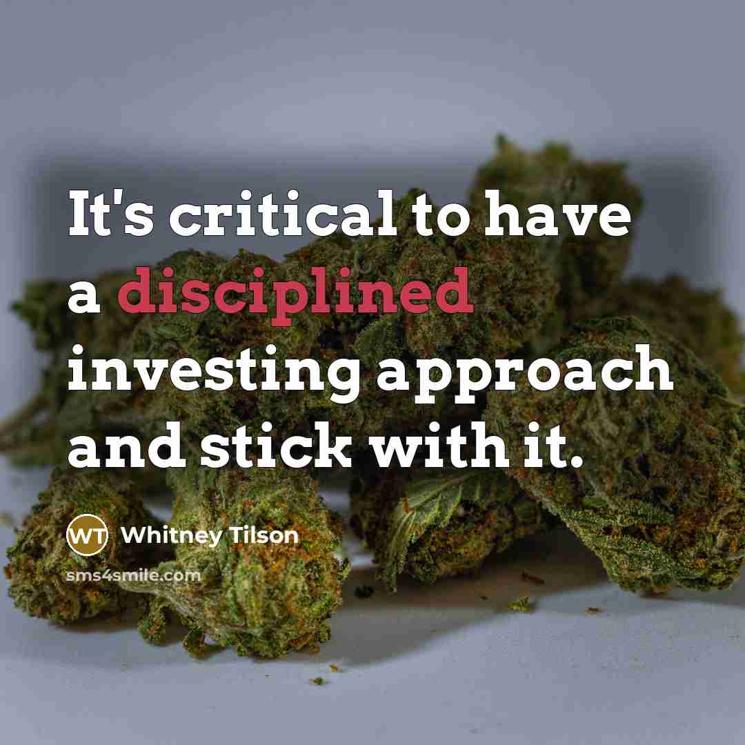 “It's critical to have a disciplined investing approach and stick…” quote by Whitney Tilson