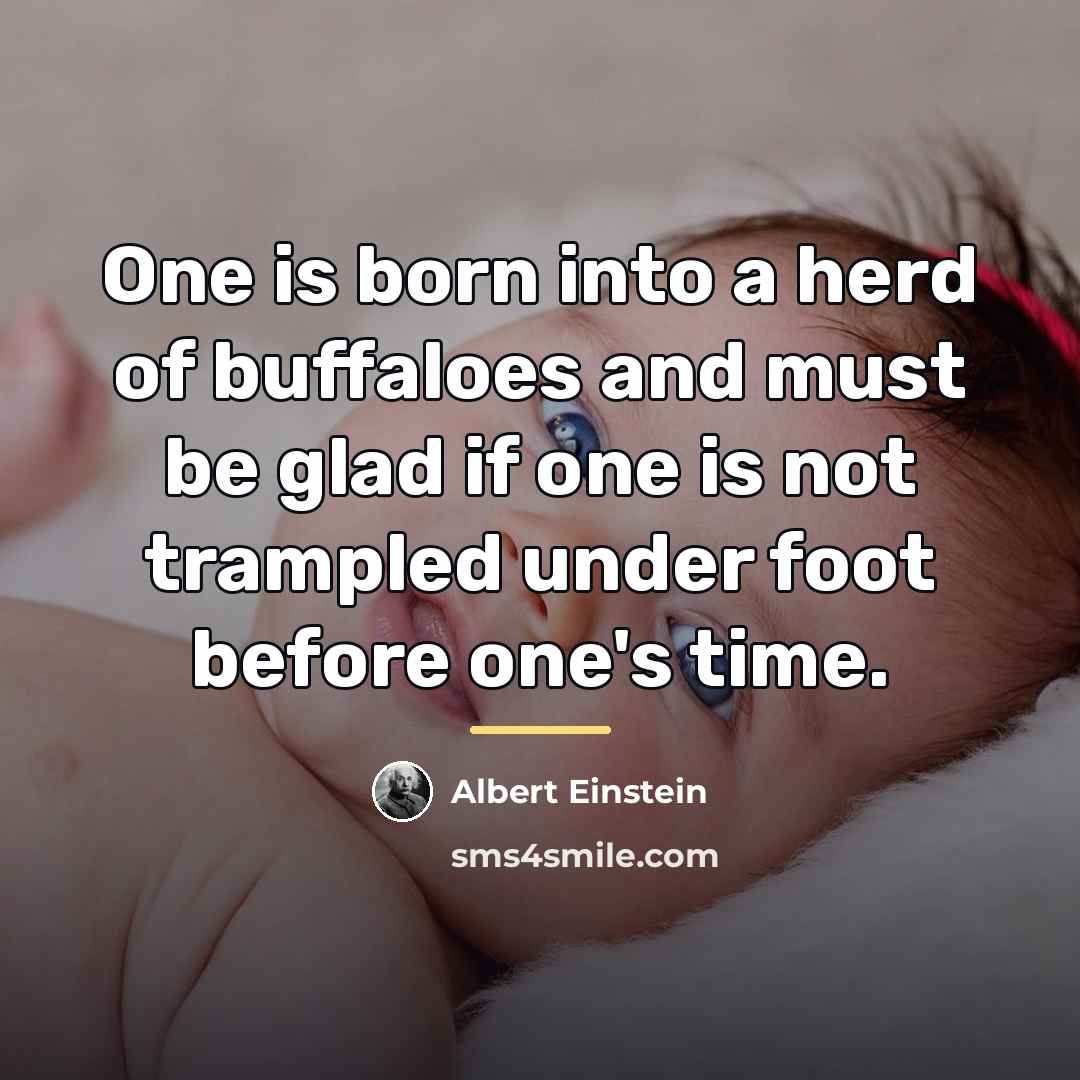 “One is born into a herd of buffaloes and must…” quote by Albert Einstein