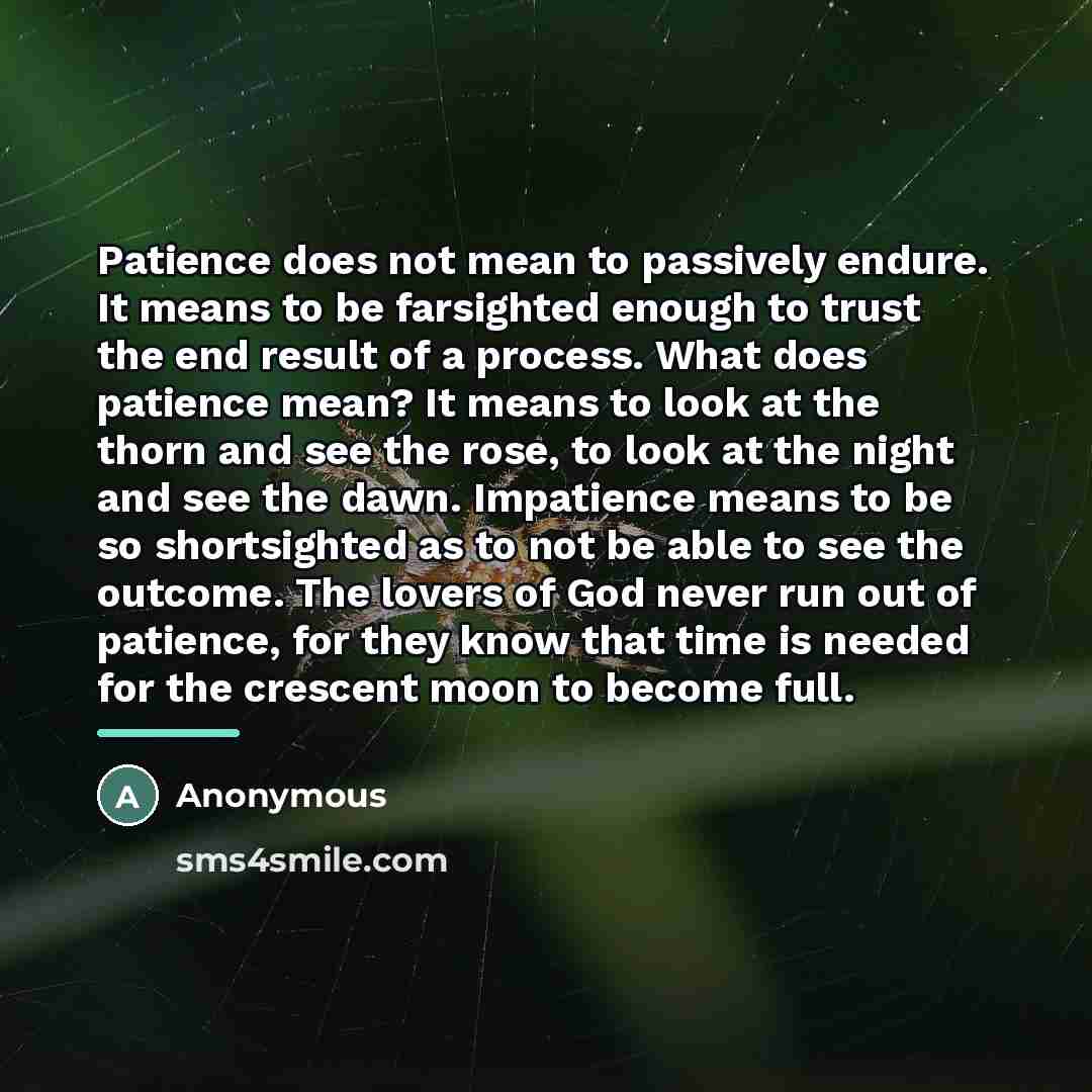 “Patience does not mean to passively endure. It means to…” quote by Anonymous