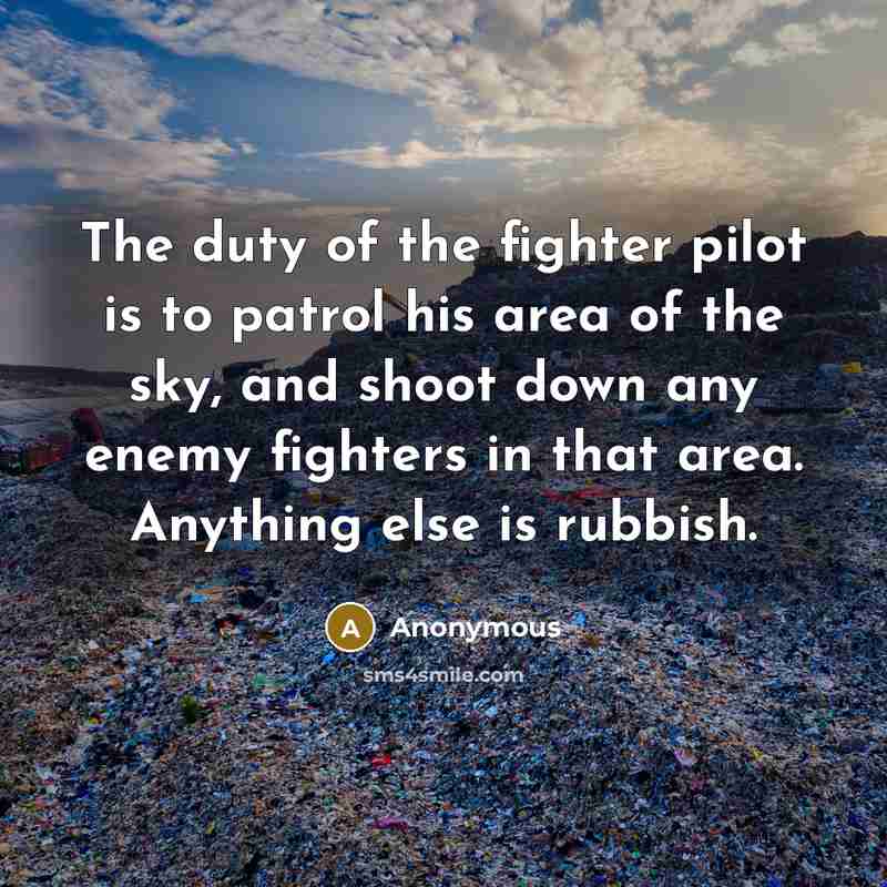 “The duty of the fighter pilot is to patrol his…” quote by Anonymous