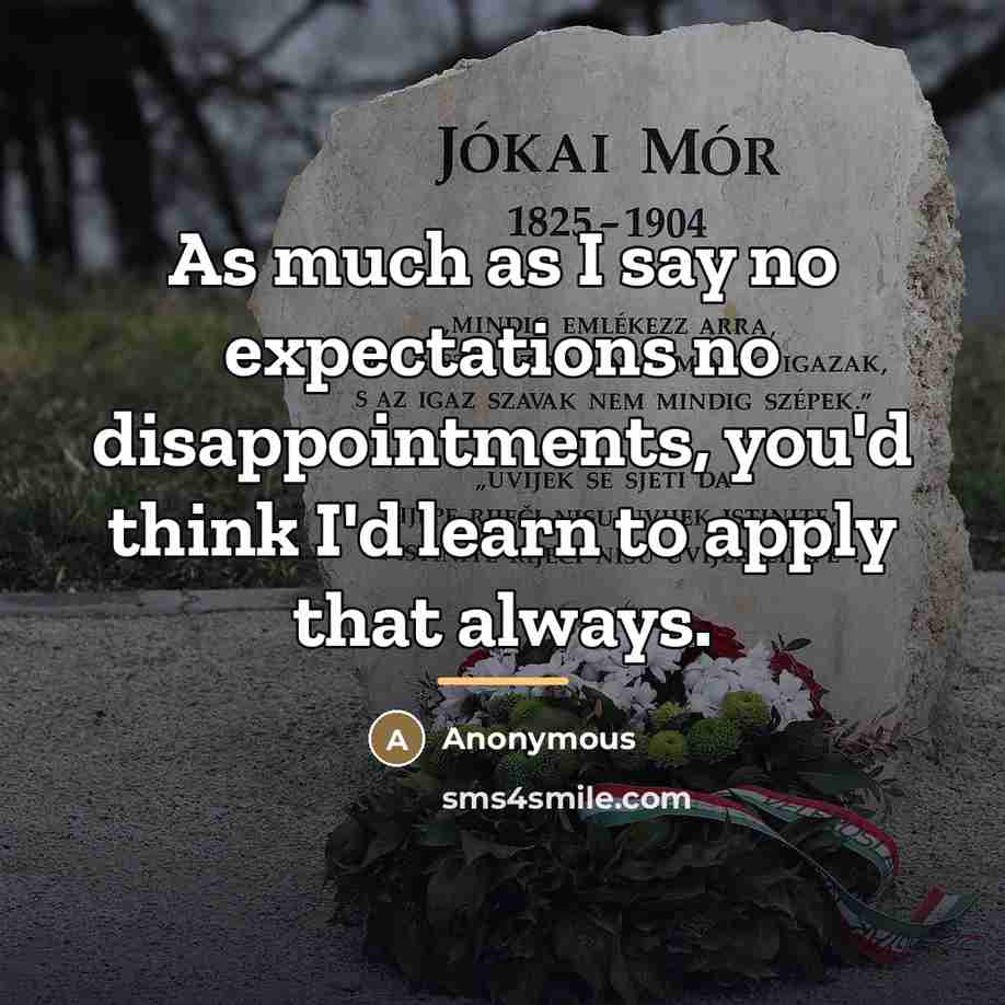“As much as I say no expectations no disappointments, you'd…” quote by Anonymous