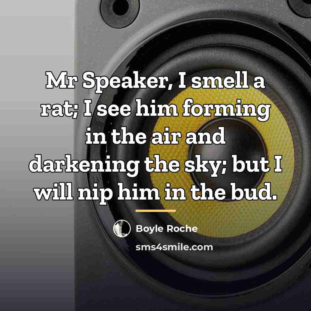 “Mr Speaker, I smell a rat; I see him forming…” quote by Boyle Roche