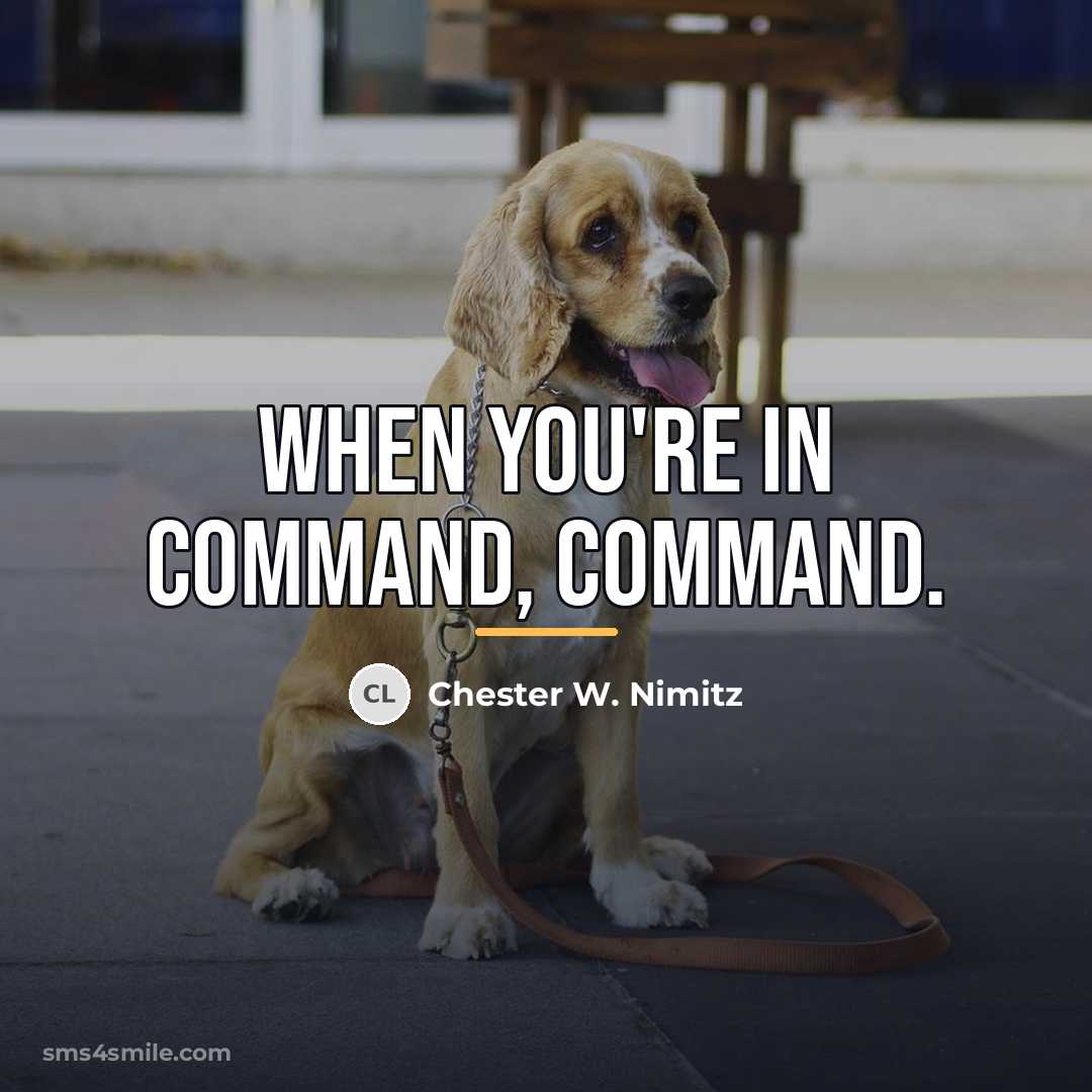 “When you're in command, command.…” quote by Chester W. Nimitz