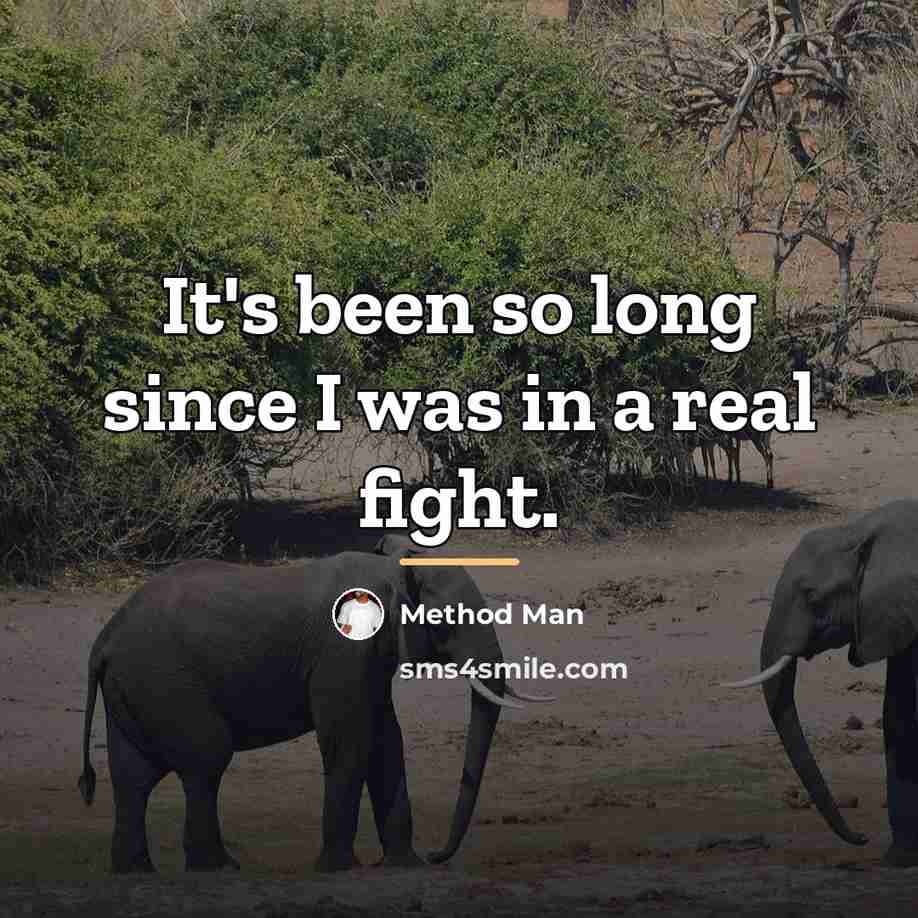 “It's been so long since I was in a real…” quote by Method Man
