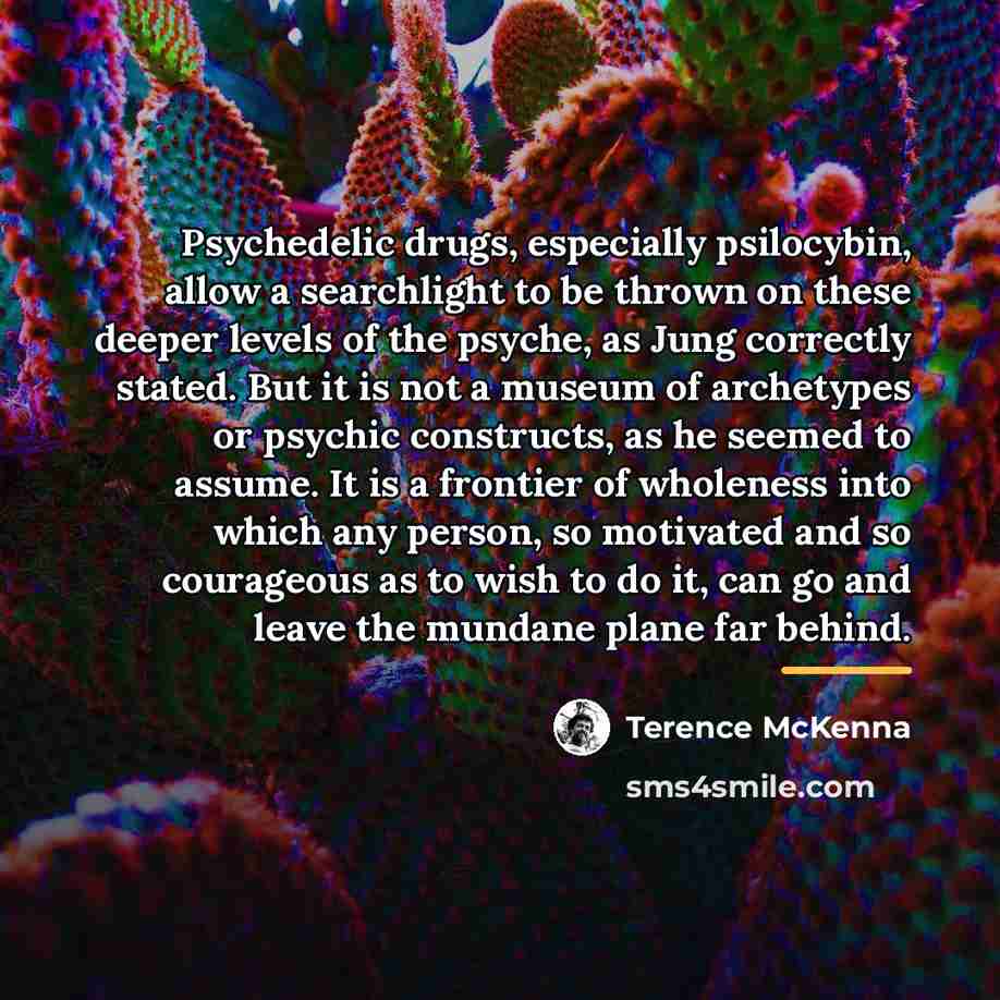 “Psychedelic drugs, especially psilocybin, allow a searchlight to be thrown…” quote by Terence McKenna